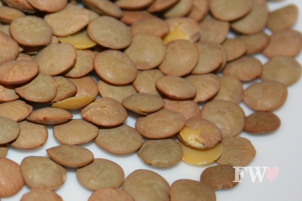 food with love intro